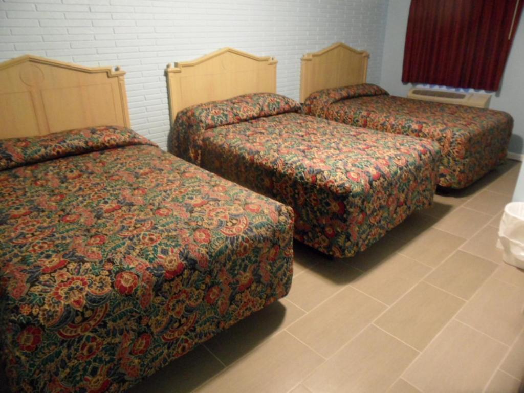 Franklin Terrace Motel シーサイド・ハイツ 部屋 写真